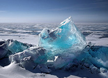 乐鱼在线：让娱乐与收益并行的全新体验